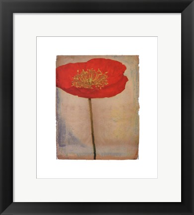 Framed Papavero Print