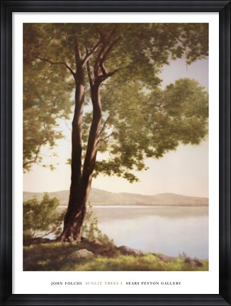 Framed Sunlit Trees I Print