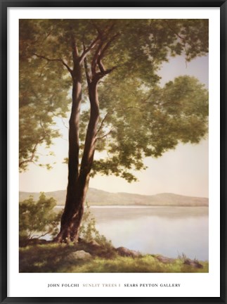 Framed Sunlit Trees I Print