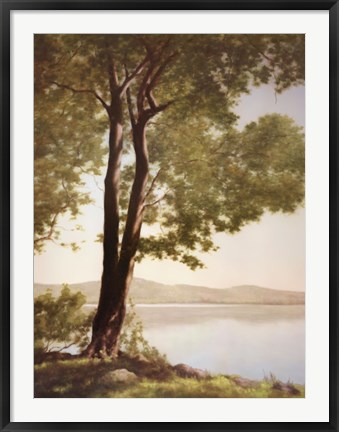 Framed Sunlit Trees I Print