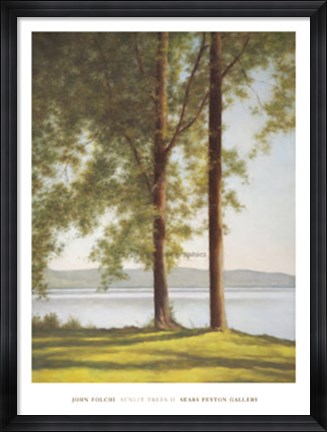 Framed Sunlit Trees II Print