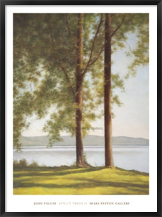 Framed Sunlit Trees II Print
