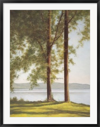 Framed Sunlit Trees II Print