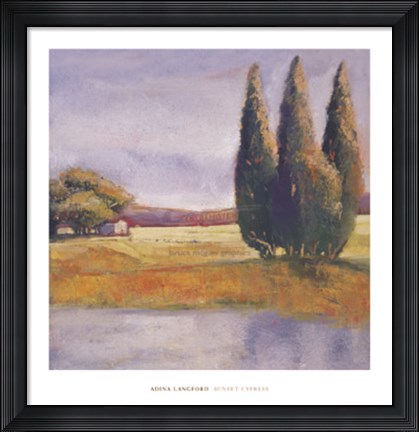 Framed Sunset Cypress Print