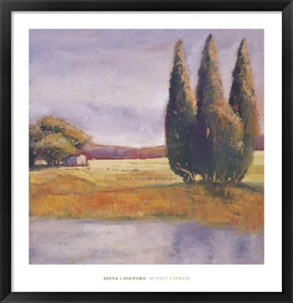 Framed Sunset Cypress Print