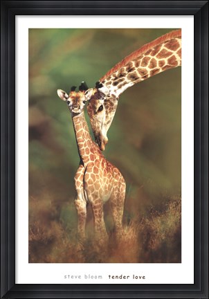 Framed Tender Love Print