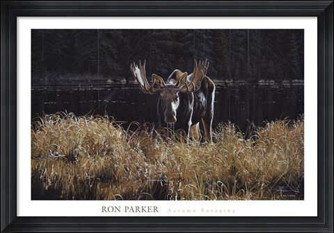 Framed Autumn Foraging Print