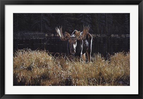 Framed Autumn Foraging Print