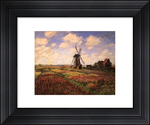 Framed Tulip Fields with Windmill Print