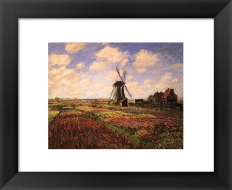 Framed Tulip Fields with Windmill Print