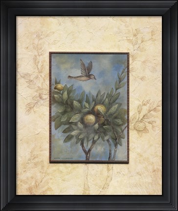 Framed Giardino II Print