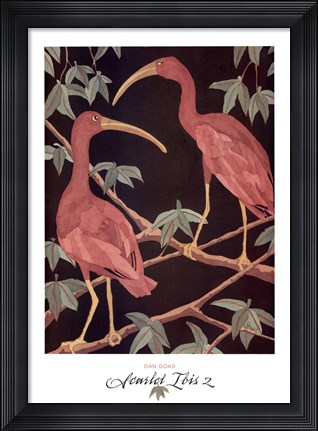 Framed Scarlet Ibis 2 Print