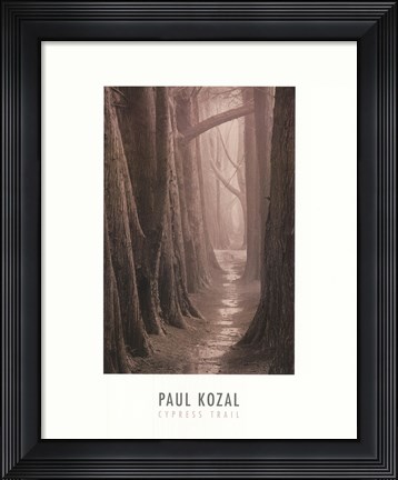 Framed Cypress Trail Print