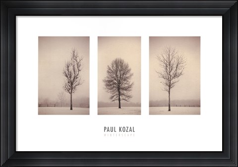 Framed Winterscape Print