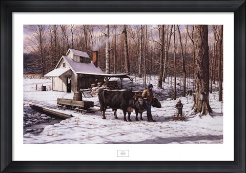 Framed Sugar Bush Print