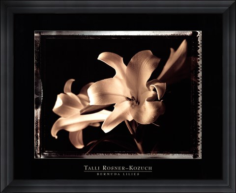 Framed Bermuda Lilies Print
