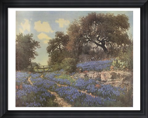 Framed Blue Bonnet Trail Print