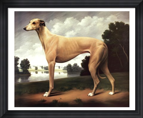 Framed Greyhound in a Parkland Landscape Print