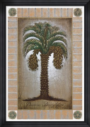 Framed Phoenix Dactylifera Print