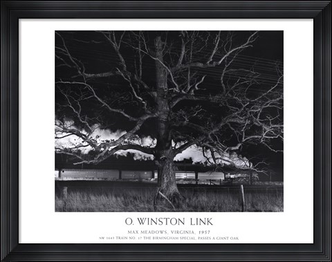 Framed Max Meadows, Virginia, 1957 / NW 1643 Train No. 17 The Birmingham Special Passes a Giant Oak Print