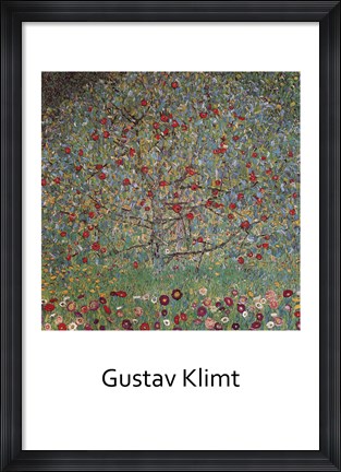 Framed Apple Tree Print