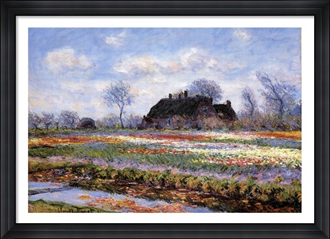 Framed Tulip Fields at Sassenheim Print