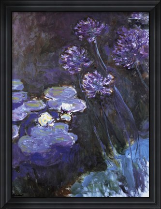 Framed Waterlillies and Agapanthus Print