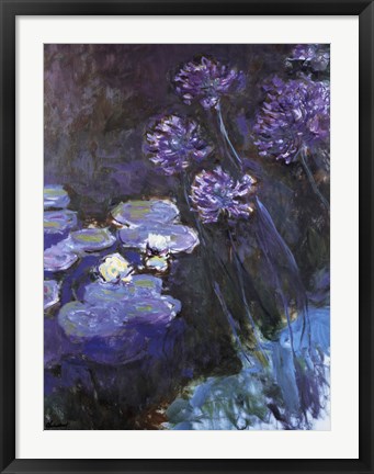 Framed Waterlillies and Agapanthus Print