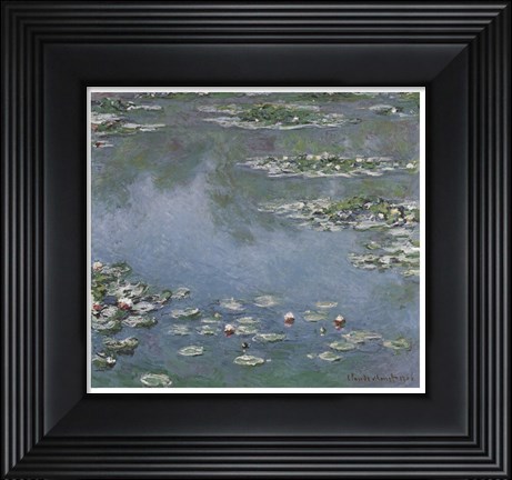 Framed Waterlilies Print