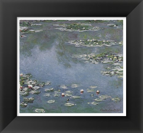 Framed Waterlilies Print