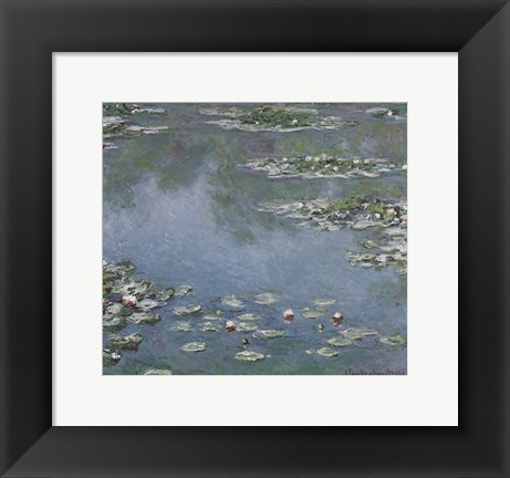 Framed Waterlilies Print