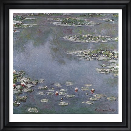 Framed Waterlilies Print