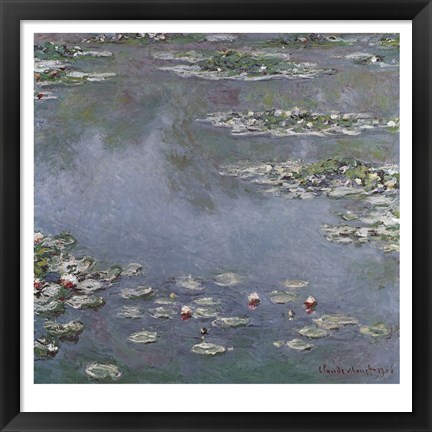 Framed Waterlilies Print