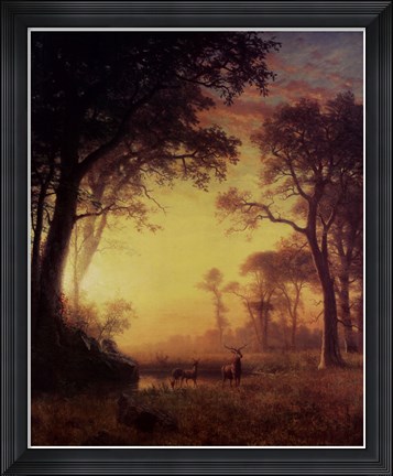 Framed Light in the Forest Print