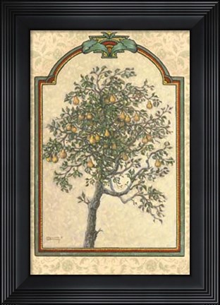 Framed Classical Pear Print