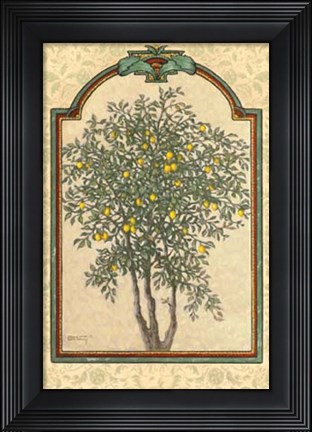 Framed Classical Lemon Print