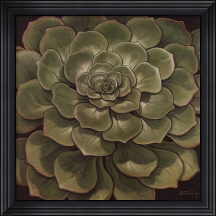 Framed Succulent I Print