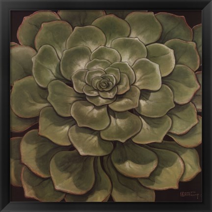 Framed Succulent I Print