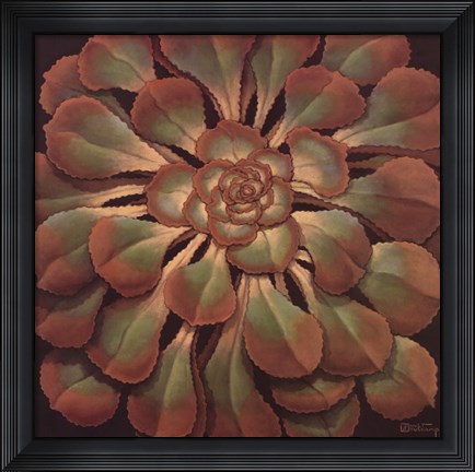 Framed Succulent II Print