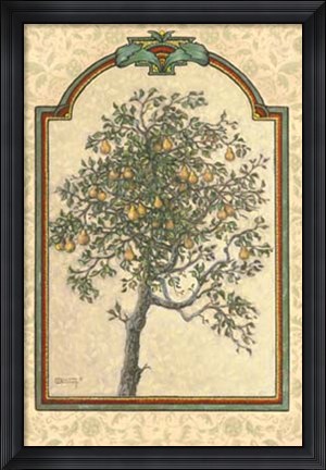 Framed Classical Pear Print
