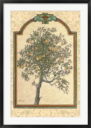 Framed Classical Pear Print