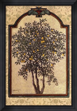 Framed Classical Lemon Print