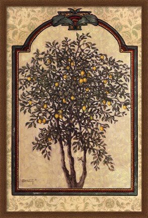 Framed Classical Lemon Print