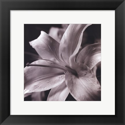 Framed Pure Lily Print