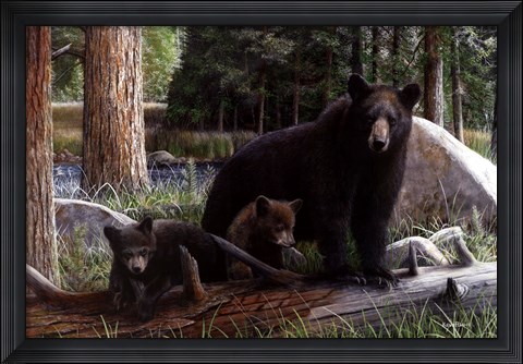 Framed New Discoveries Print