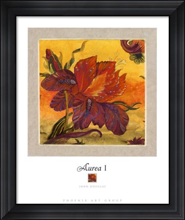 Framed Aurea I Print