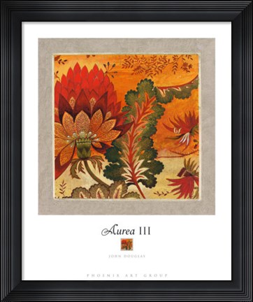 Framed Aurea III Print