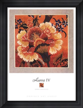 Framed Aurea IV Print