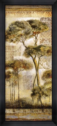 Framed Italian Arbor I Print
