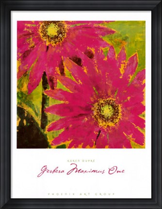 Framed Gerbera Maximus One Print